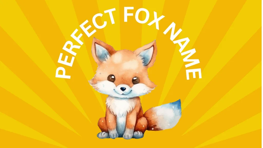 Cute Fox Baby Image